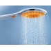 Душевая лейка Grohe Rainshower Icon 27444000