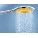 Душевая лейка Grohe Rainshower Icon 27446000