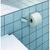 Держатель туалетной бумаги Kludi Ambienta 5397105